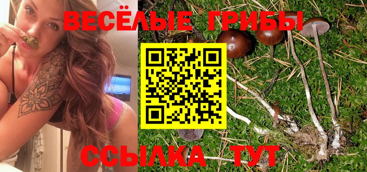 Кимры  Псилоцибиновые грибы мухоморы  Вход с VPN 