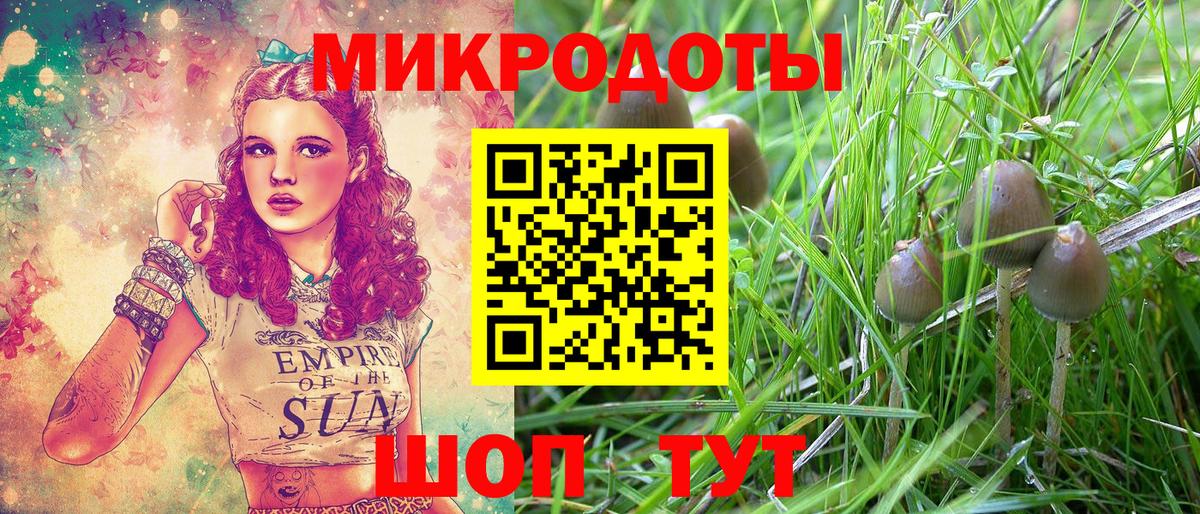 Псилоцибиновые грибы Psilocybine cubensis Кимры